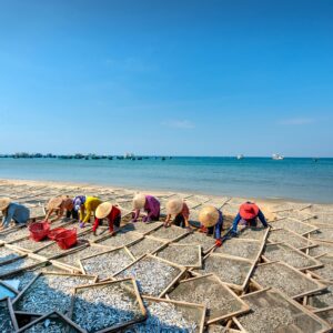 Du lịch Quy Nhơn - Phú Yên